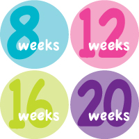 Weekly Sticker 001-01