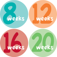 Weekly Sticker 001-02