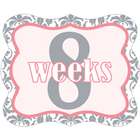 Weekly Sticker 004-01