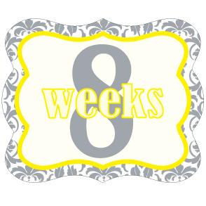 Weekly Sticker 004-02