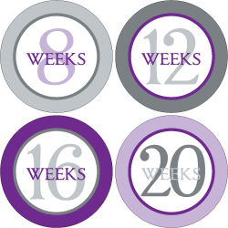 Weekly Sticker 005-02