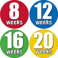 Weekly Sticker 006-01