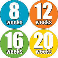 Weekly Sticker 006-03