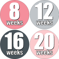 Weekly Sticker 006-04