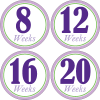 Weekly Sticker 007-01