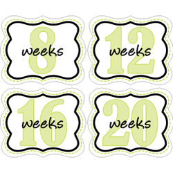 Weekly Sticker 008-02